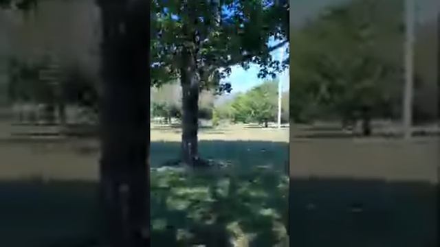 Америка в письмах на пустыре смотреть онлайн