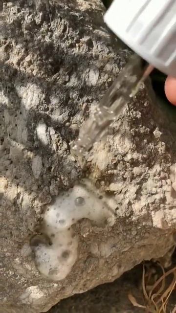 Как распознать известняк? смотреть онлайн