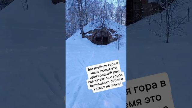 Новогодние истории в Санкт-Петербурге, Выборге, Пскове, Казани 2024 смотреть онлайн