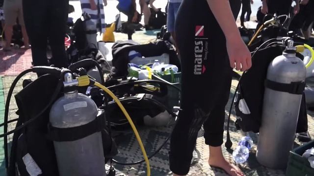 Marsa Alam. The Oasis Dive-Resort, 2015 смотреть онлайн