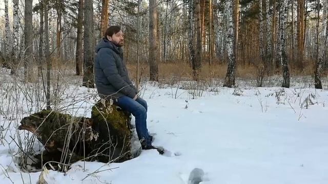 О книге Юлии Кокошко «Сумерки, милый молочник» смотреть онлайн