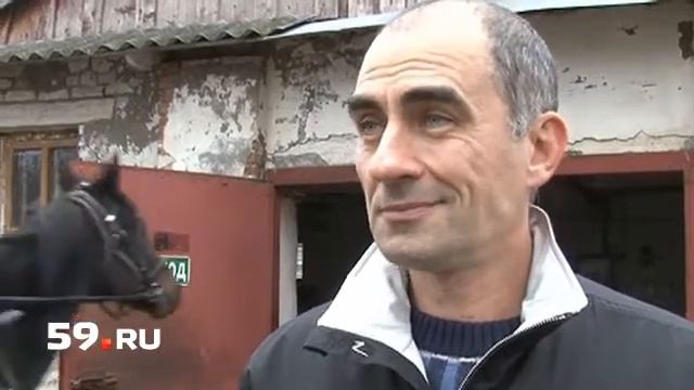 Ипподром переедет за город?