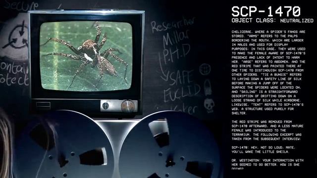 SCP-1470 - Telepathic Spider : Object Class - Neutralized : Arachnid SCP смотреть онлайн