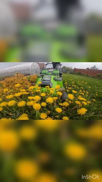 Аккумуляторная газонокосилка Greenworks G40LM49DB #shorts смотреть онлайн