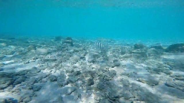 PB Snorkeling Friday 13th