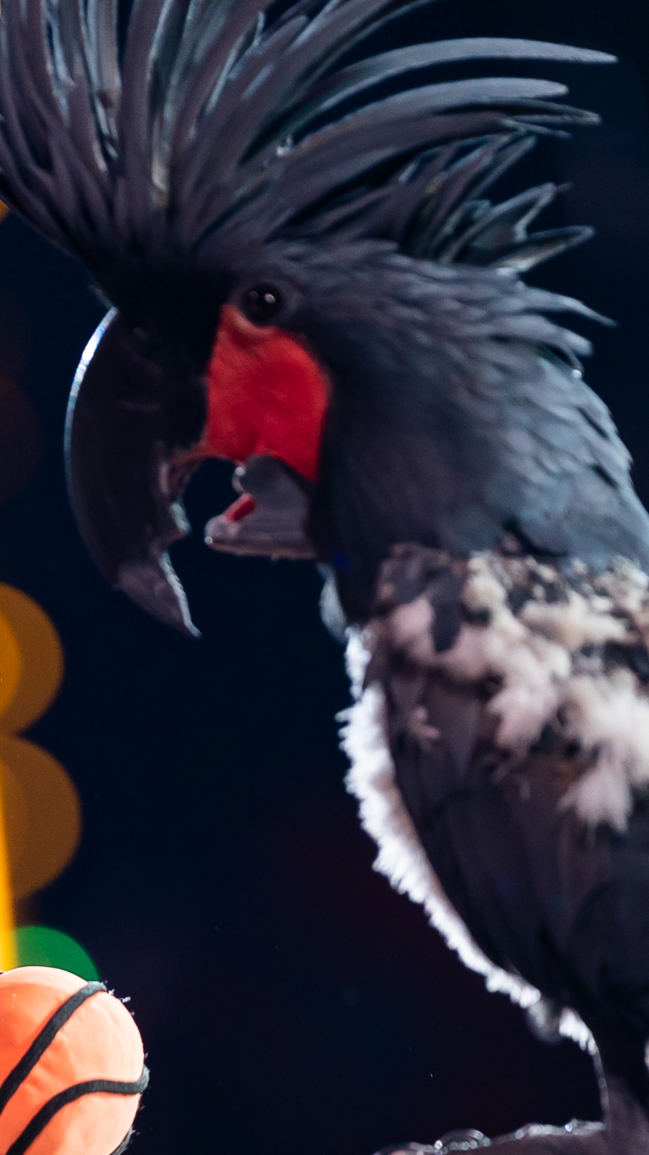 Наши мальчики!!!