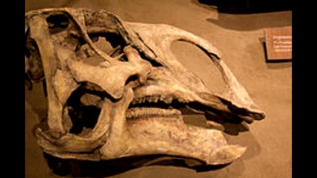 ALL ABOUT THE BRACHYLOPHOSAURUS IN LESS THAN 3 MINUTES смотреть онлайн