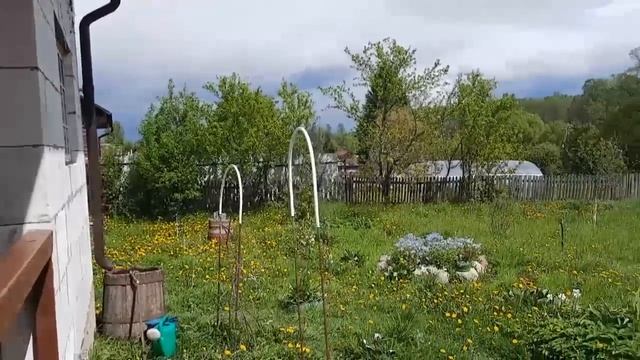 С УТРА СЪЕЗДИЛИ В ГОРОД, А ПОТОМ КАЖДЫЙ ЗАНИМАЛСЯ СВОИМИ ДЕЛАМИ. смотреть онлайн