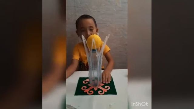 Пластик бөтелкеден бұйым