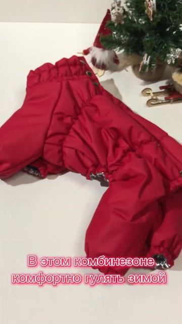 Зимний пуховик для собак. Одежда для собак. Комбинезон для собаки. Собаки. смотреть онлайн