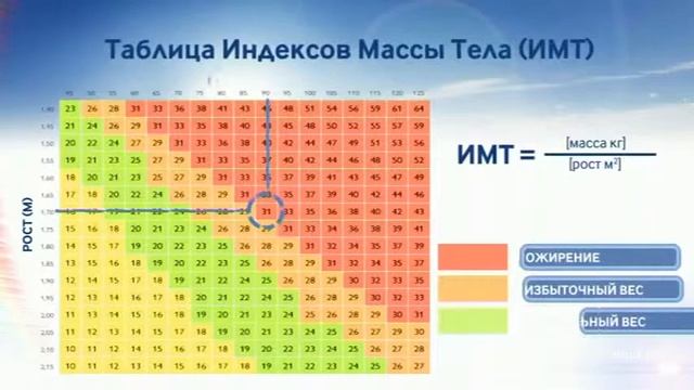 7 oriflame welness loss weight mpeg 2 51мин смотреть онлайн