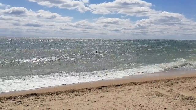 Гидростроитель, Грибівка, Одеська область. смотреть онлайн