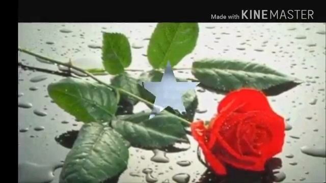 9 марта 2018 г.