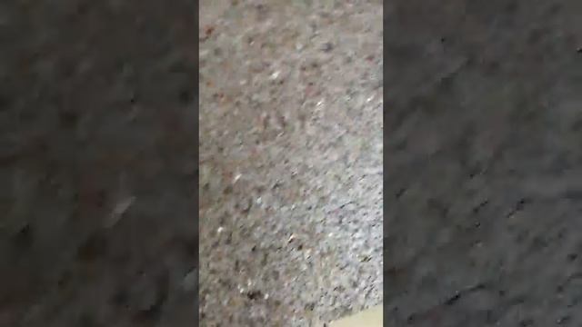 5004 mica wallpaper quality checking смотреть онлайн