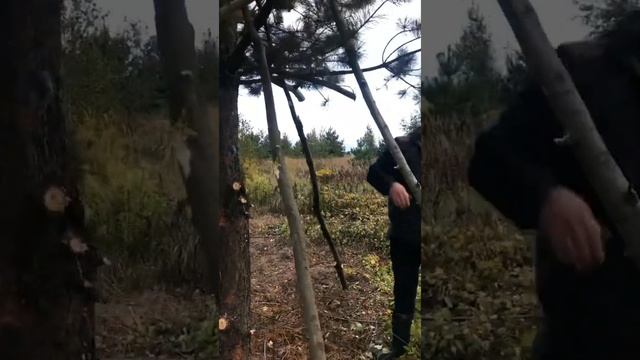 Провели пять часов на участке!? | построили шалаш| спилили 2 дерева| папу чуть не зашибло берёзой ? смотреть онлайн