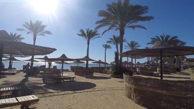 Elphistone Resort Tour - Marsa Alam, Egypt 2019 смотреть онлайн