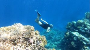 Ägypten, Egypt, The Three Corners Happy Life Beach Resort - Marsa Alam - Schnorchelurlaub GoPro 6
