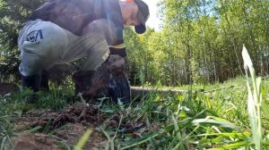 Выкрутил винтовые сваи и узнал в чем их секрет. Что стало со свайно-винтовым фундаментом спустя год