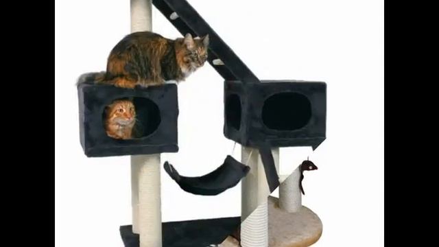 производители домиков для кошек смотреть онлайн