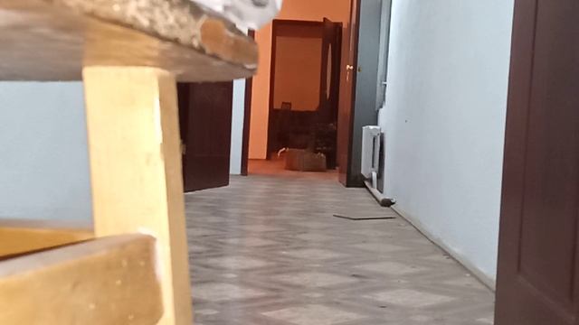 Мой Hatsan70 и новая оптика 👍😁 смотреть онлайн