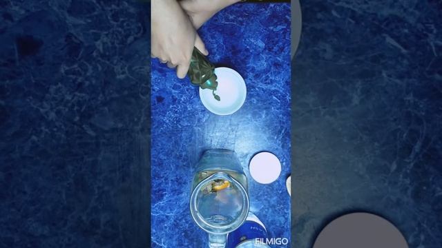 Мохито таерлаймиз.