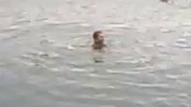 На карьере 4 смотреть онлайн