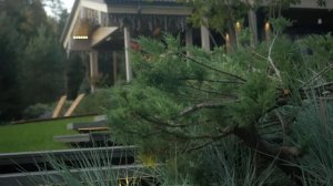 Уникальный мир Скандинавского сада | Рассказывает Пётр Лари на примере сада Северный