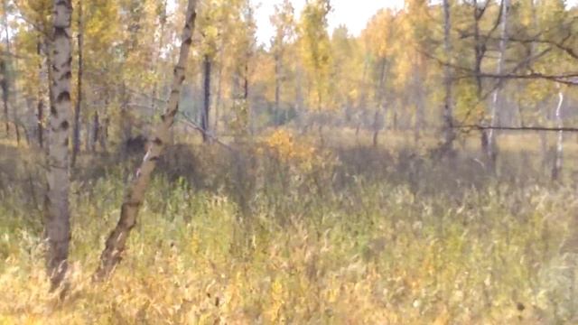 Лосики смотреть онлайн