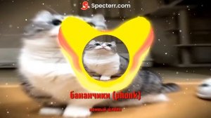 бананчики (Phonk)