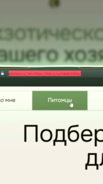 Как КОПИРОВАТЬ САЙТЫ? ЛУЧШИЙ Инструмент Для ТИЛЬДЫ #design #дизайн #tilda #тильда #девмод смотреть онлайн