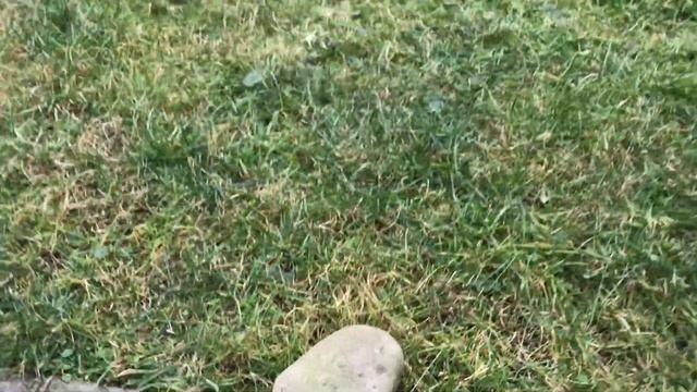 Axial vs Vaterra steering test смотреть онлайн