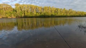 ВЕСЕННИЙ ФИДЕР 2024. Рыбалка в Самарской области на реке Кривуша.