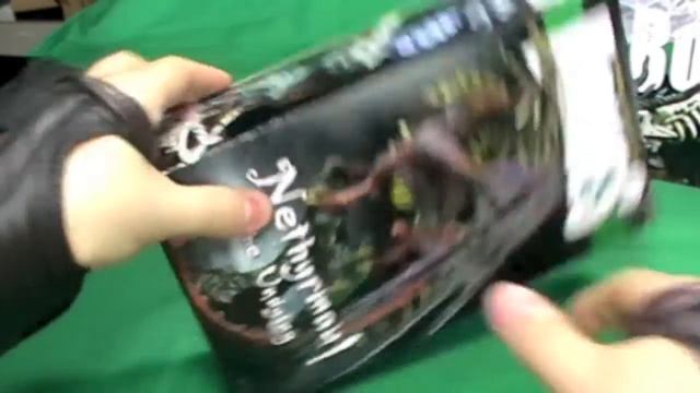 Reaper Bones KickStarter - Teeth & Ass - (Dragons & Sophies) смотреть онлайн