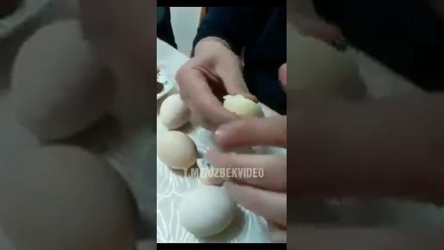 Yasama tuxum смотреть онлайн