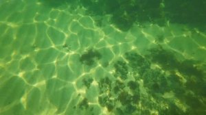 Апрельское азовское море часть вторая не последняя:)) дневная подводная охота 2024 морская охота