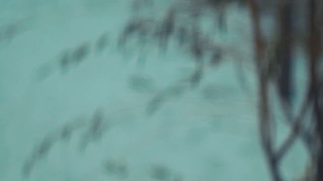 November Melancholy / GH5 / Fake Anamorphic / 4K