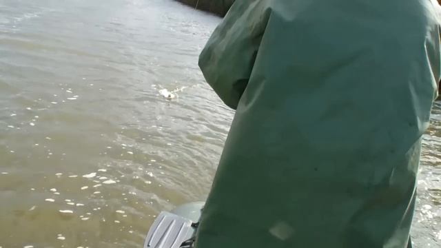 Осенняя рыбалка при сильном ветре . Щука .Судак. Окунь . Троллинг смотреть онлайн