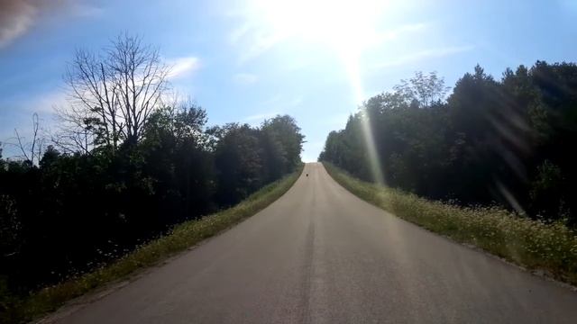 63 km/h Longboard Downhill смотреть онлайн