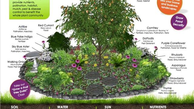 Permaculture Complete Overview (Parts 1-4 combined) смотреть онлайн