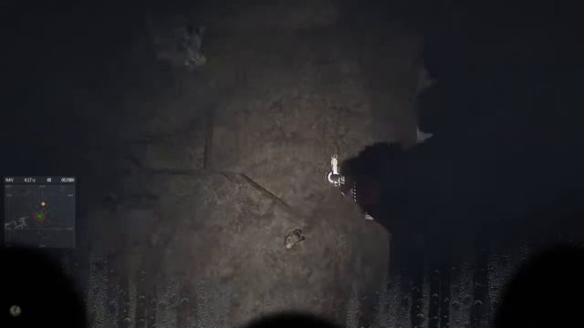 Алыч застрял