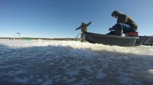 По последнему льду на р. Желвата.