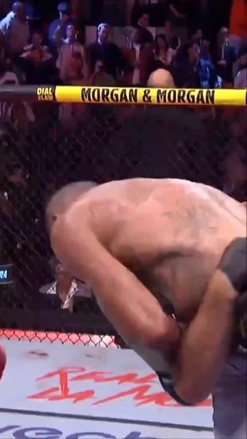 У нас новый чемпион в среднем девизионе Алекс Перейра💪👊 смотреть онлайн