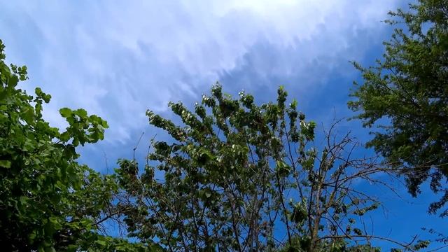 День рождения Матвея, последний день на Юге. ИЗ ГОРОДА В ДЕРЕВНЮ 703 серия. смотреть онлайн