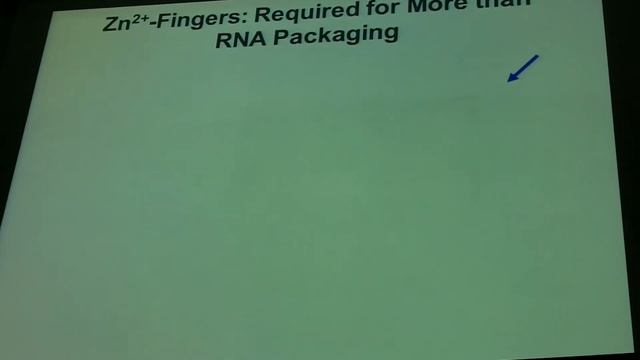 Larry Arthur - International Retroviral Nucleocapsid Symposium: Personal Reflections - Part 1 смотреть онлайн