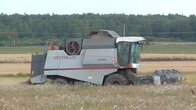 Harvest 2020 | Rostselmash Vector 420 Combine Harvester