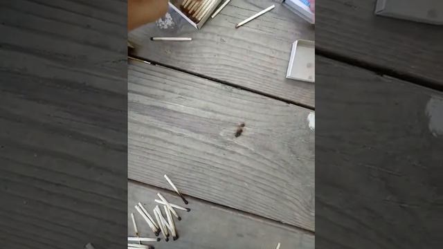 поджигаем спички с моей однокласницей)Сашей смотри опис. смотреть онлайн