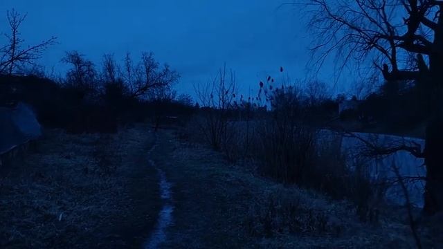 моя душа холодна #night #freezingmoon #атмосфера #real #mysouliscold смотреть онлайн