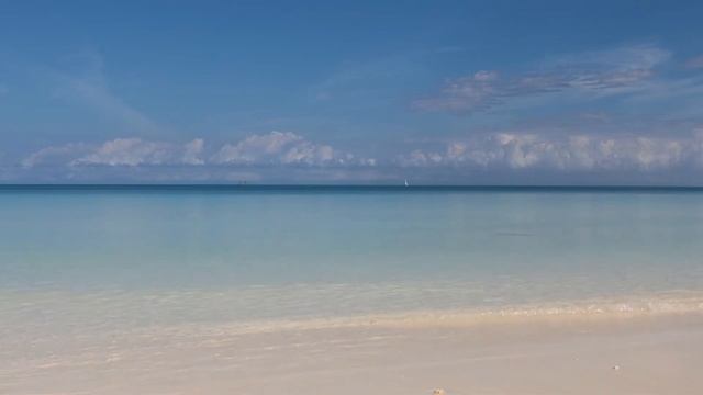 THE TWILIGHT SAGA: NEW MOON Score (2009) ALEXANDRE DESPLAT