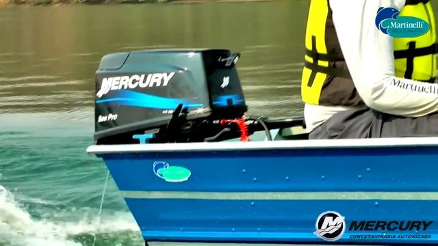 Motor Mercury 25 Sea Pro - Martinelli