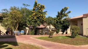 Обзор отеля Pickalbatros Jungle Aqua Park Resort